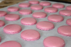 Image pour Coques macarons 